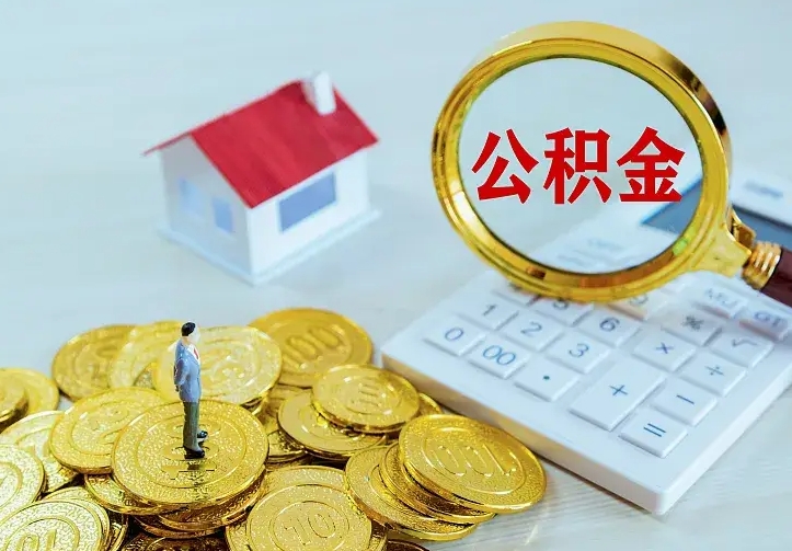 安阳公积金有几种方法提取（成公积金提取）
