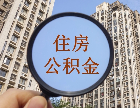 安阳退休后查不到公积金明细了吗（退休后公积金查询不到原因）